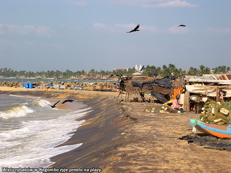 Wielu rybaków w Negombo żyje prosto na plaży