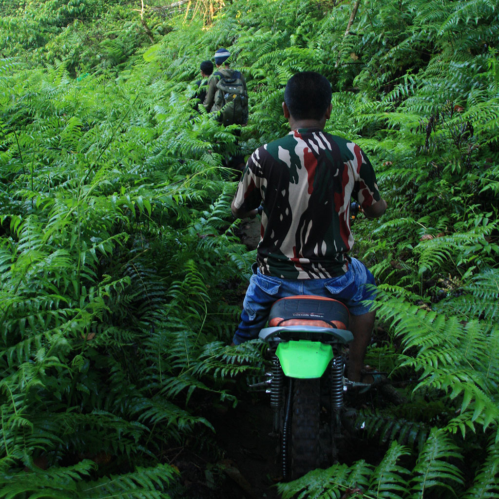 Ojek ride through the rainforest from Pancasila to a place one hour away from POS1