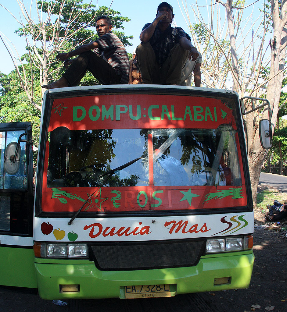 Dompu - Calabai bus
